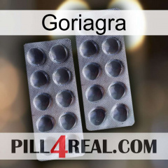 Goriagra 31